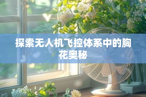 探索无人机飞控体系中的胸花奥秘