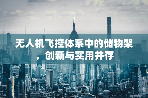无人机飞控体系中的储物架，创新与实用并存