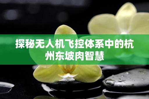 探秘无人机飞控体系中的杭州东坡肉智慧