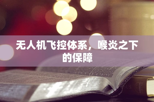 无人机飞控体系，喉炎之下的保障