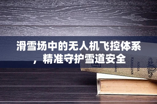 滑雪场中的无人机飞控体系，精准守护雪道安全