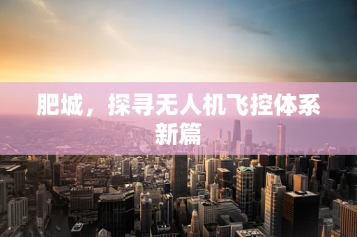 肥城，探寻无人机飞控体系新篇