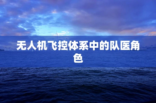 无人机飞控体系中的队医角色