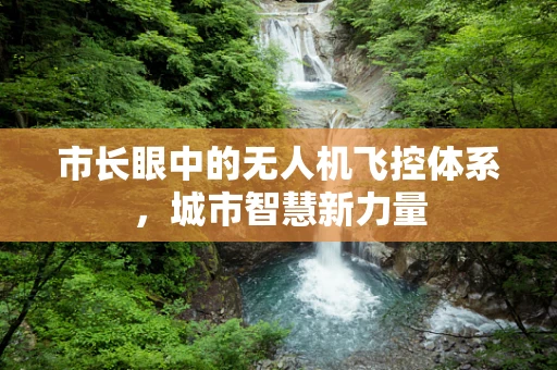 市长眼中的无人机飞控体系，城市智慧新力量