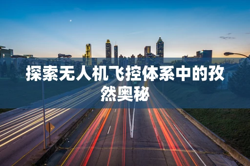 探索无人机飞控体系中的孜然奥秘