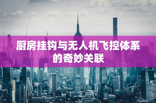 厨房挂钩与无人机飞控体系的奇妙关联