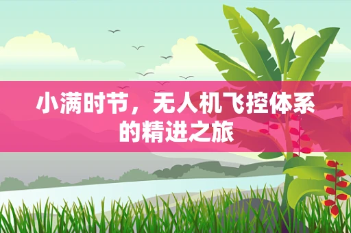 小满时节，无人机飞控体系的精进之旅