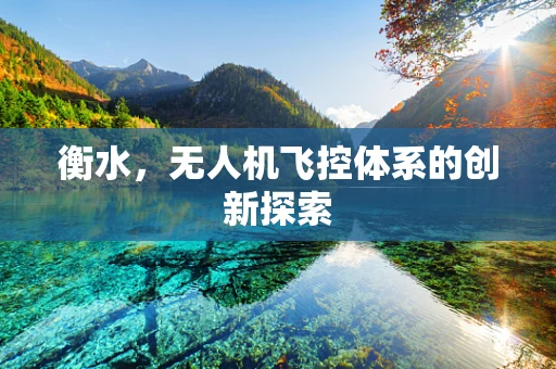 衡水，无人机飞控体系的创新探索