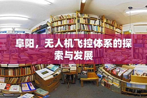 阜阳，无人机飞控体系的探索与发展
