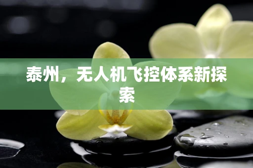 泰州，无人机飞控体系新探索