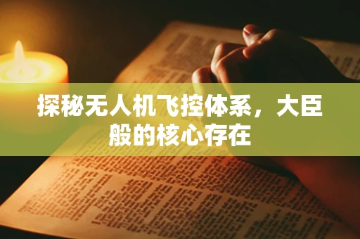 探秘无人机飞控体系，大臣般的核心存在