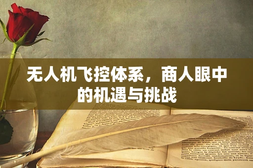 无人机飞控体系，商人眼中的机遇与挑战