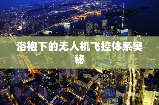 浴袍下的无人机飞控体系奥秘