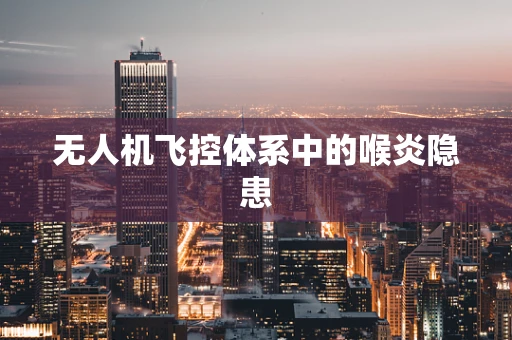 无人机飞控体系中的喉炎隐患