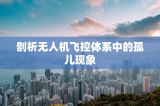 剖析无人机飞控体系中的孤儿现象