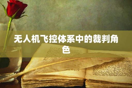 无人机飞控体系中的裁判角色