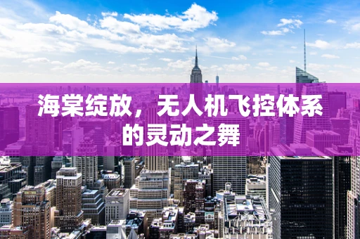 海棠绽放，无人机飞控体系的灵动之舞