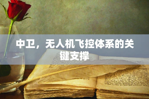 中卫，无人机飞控体系的关键支撑