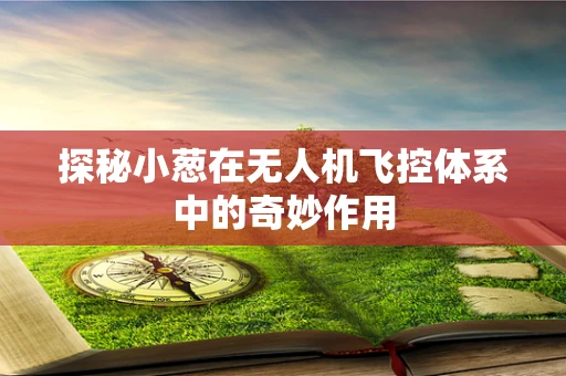 探秘小葱在无人机飞控体系中的奇妙作用