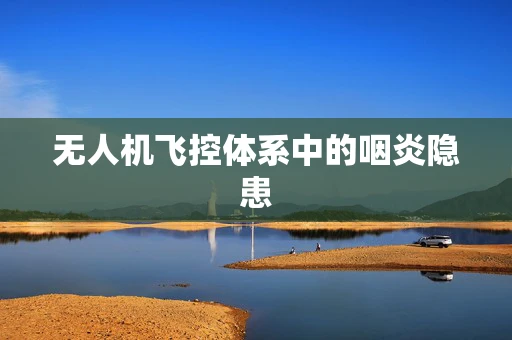 无人机飞控体系中的咽炎隐患