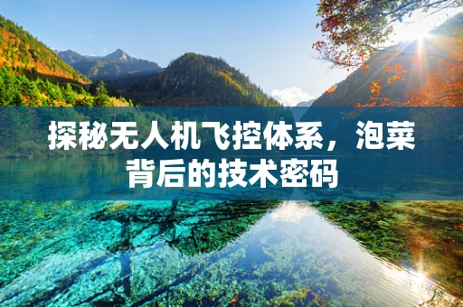探秘无人机飞控体系，泡菜背后的技术密码