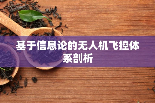 基于信息论的无人机飞控体系剖析
