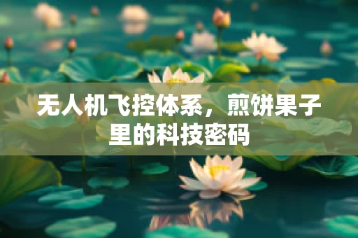 无人机飞控体系，煎饼果子里的科技密码