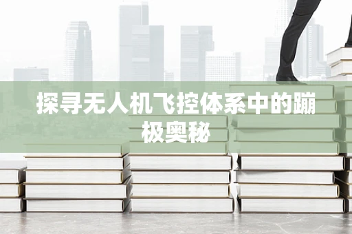 探寻无人机飞控体系中的蹦极奥秘
