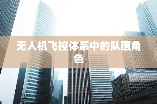 无人机飞控体系中的队医角色