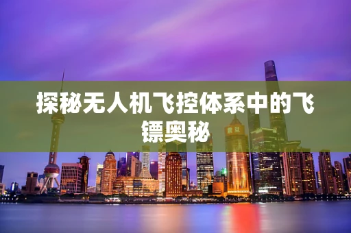 探秘无人机飞控体系中的飞镖奥秘