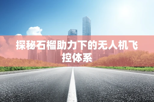 探秘石榴助力下的无人机飞控体系