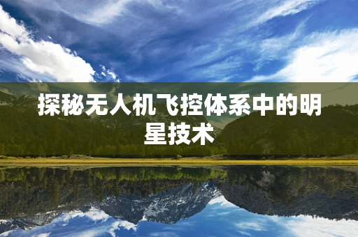 探秘无人机飞控体系中的明星技术