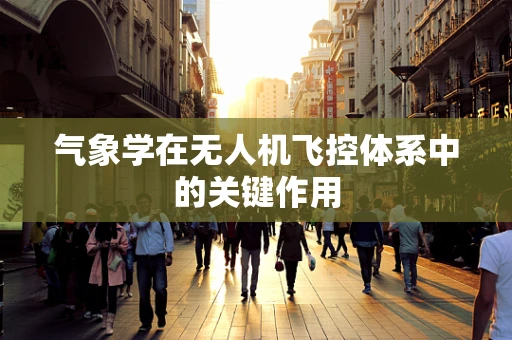 气象学在无人机飞控体系中的关键作用