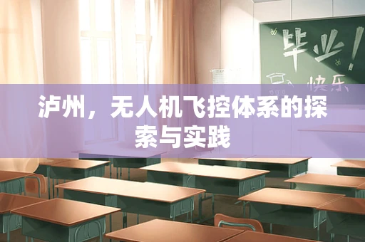 泸州，无人机飞控体系的探索与实践