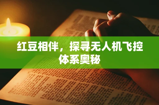 红豆相伴，探寻无人机飞控体系奥秘