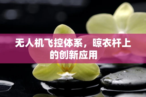 无人机飞控体系，晾衣杆上的创新应用