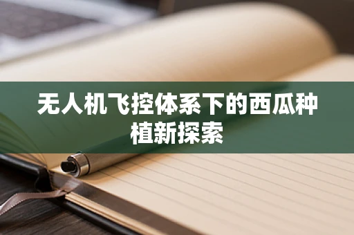 无人机飞控体系下的西瓜种植新探索