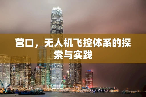 营口，无人机飞控体系的探索与实践