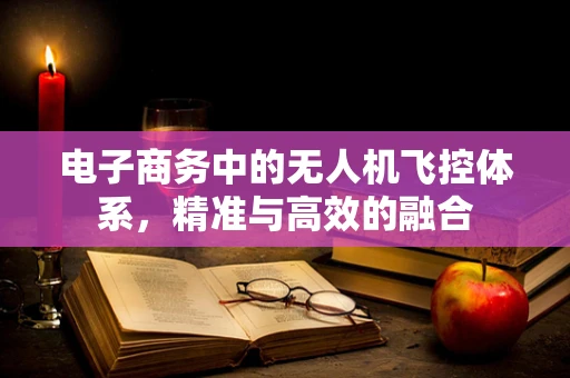 电子商务中的无人机飞控体系，精准与高效的融合