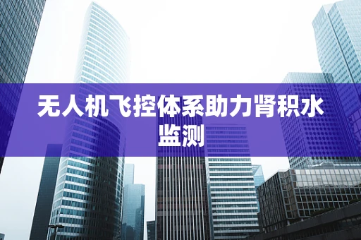 无人机飞控体系助力肾积水监测