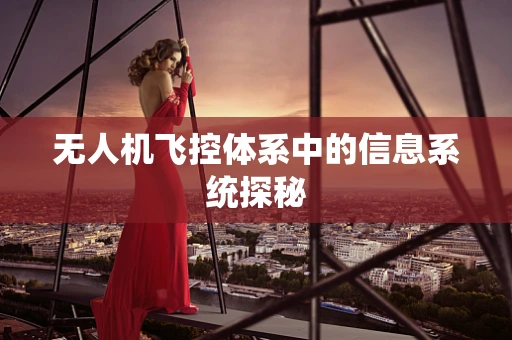 无人机飞控体系中的信息系统探秘