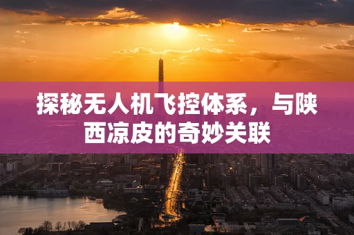 探秘无人机飞控体系，与陕西凉皮的奇妙关联