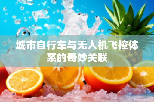 城市自行车与无人机飞控体系的奇妙关联