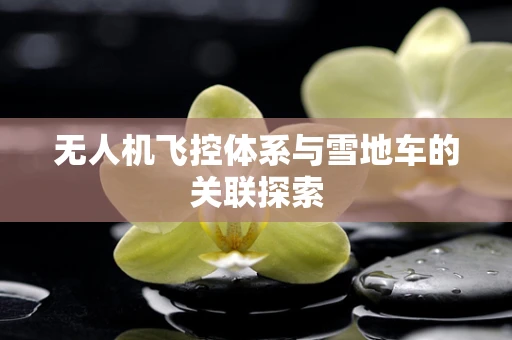 无人机飞控体系与雪地车的关联探索