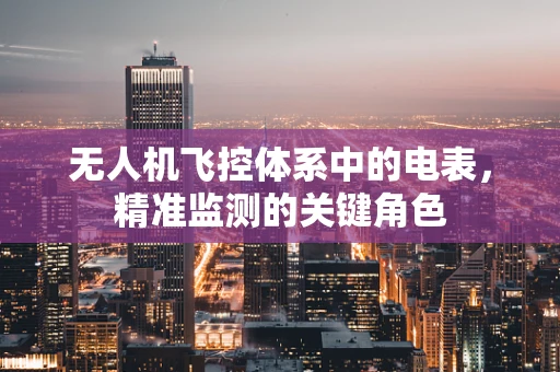 无人机飞控体系中的电表，精准监测的关键角色