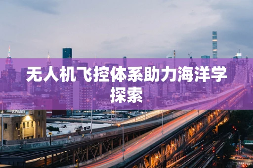 无人机飞控体系助力海洋学探索