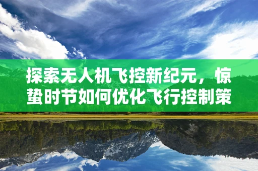 探索无人机飞控新纪元，惊蛰时节如何优化飞行控制策略？