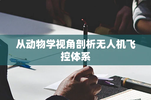 从动物学视角剖析无人机飞控体系