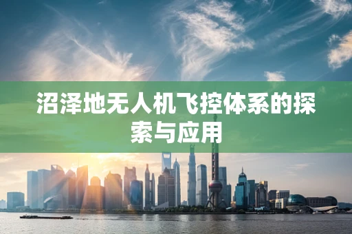 沼泽地无人机飞控体系的探索与应用