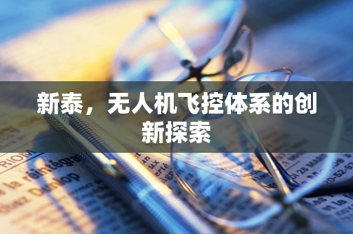 新泰，无人机飞控体系的创新探索